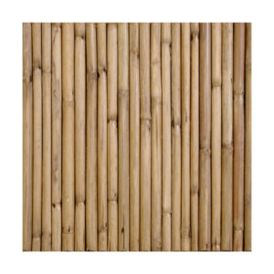 HMT Kayali Coron Reeds Natural Unvarnished Doğal Laminat Panel