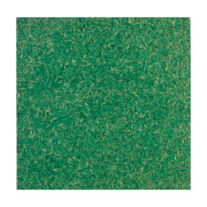 HMT Sahara Gabon Green Polished Doğal Laminat Panel